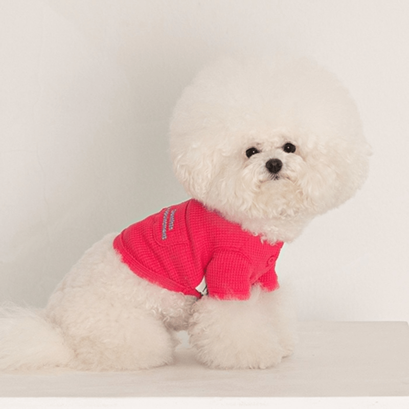 Waffle Crop Tee - Magenta Pink Clothing Dentists Appointment