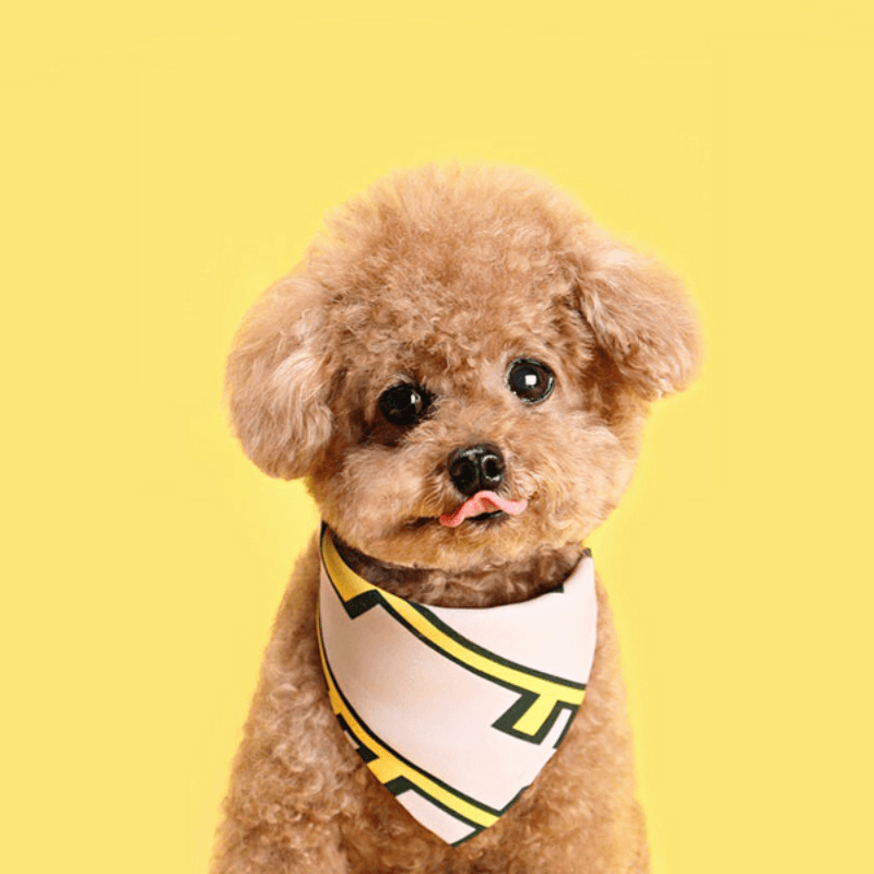 Key Scarf - Pink Bandana Huts and Bay