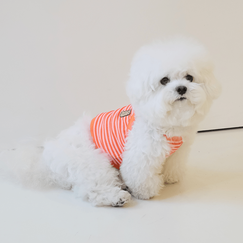 Cool Slush Crop Tank Top - Orange Cream (Orange) Clothing Hey Jerry