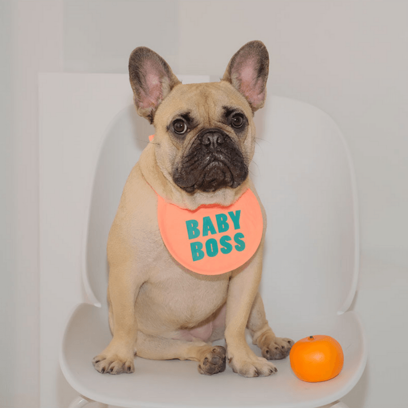 Baby Boss Bib Bandana Hey Jerry