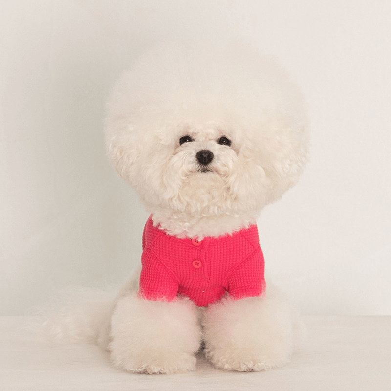 Waffle Crop Tee - Magenta Pink Clothing Dentists Appointment