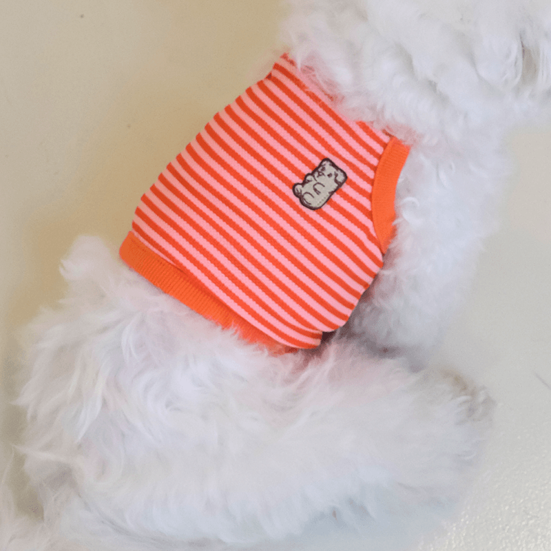 Cool Slush Crop Tank Top - Orange Cream (Orange) Clothing Hey Jerry