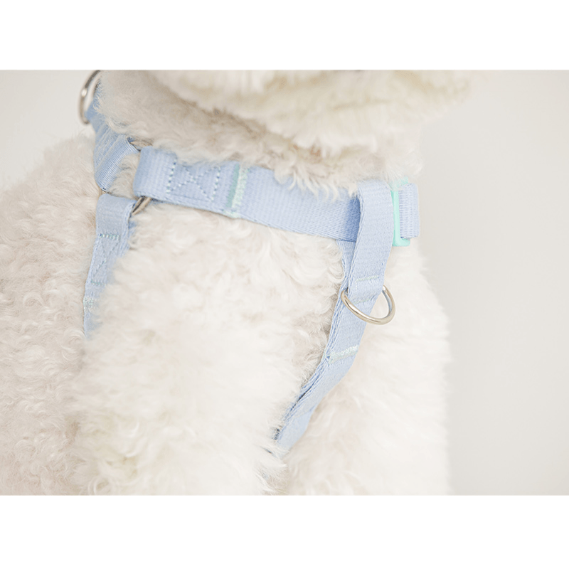 Candy Crayon Harness - Orange Harness Bite Me