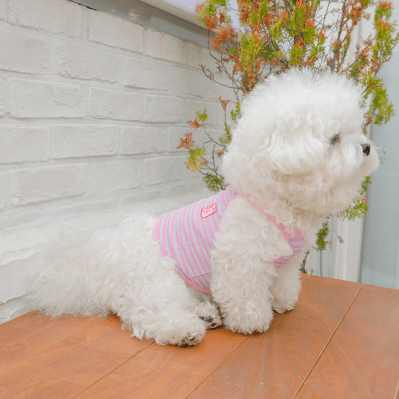 Cool Slush Crop Tank Top - Pink Berry (Pink Blue) Clothing Hey Jerry