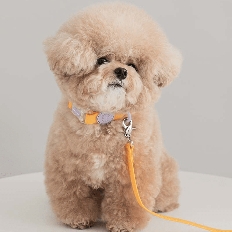 Macaron Waterproof Collar and Leash Set (4 Colors) Collar Bite Me