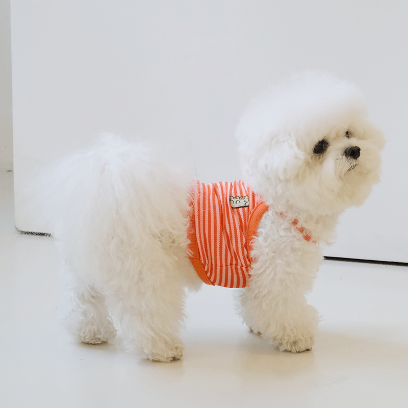 Cool Slush Crop Tank Top - Orange Cream (Orange) Clothing Hey Jerry