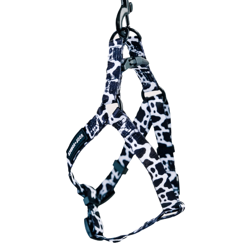 Dog harness b&m best sale