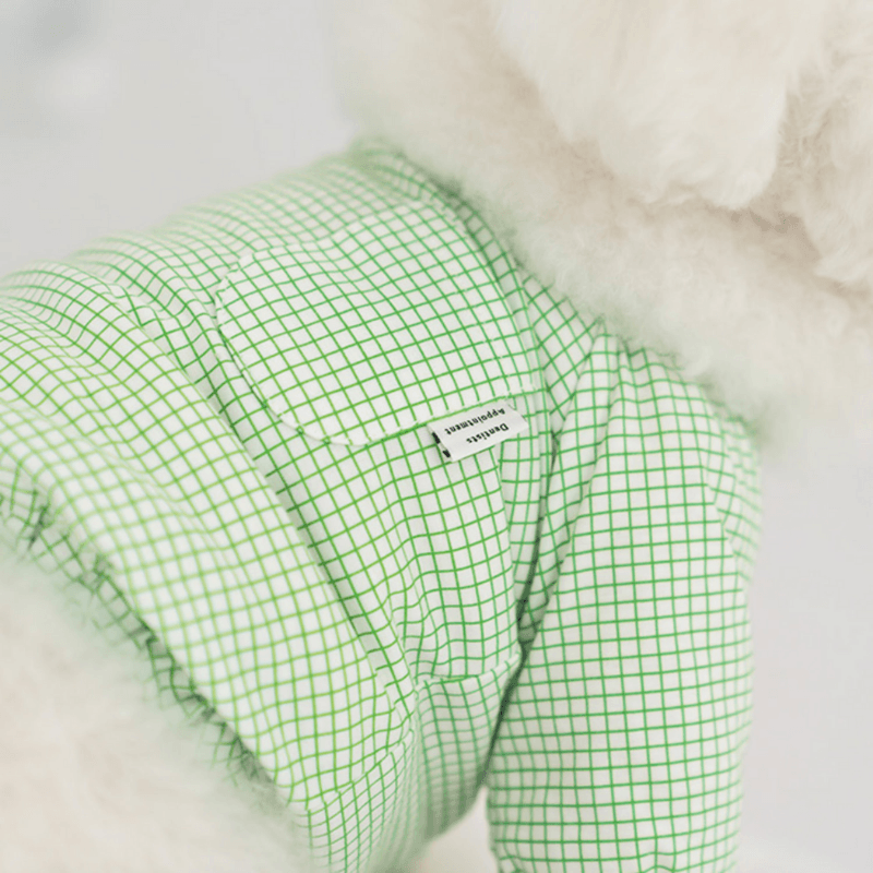 Pumpkin Crop Top - Green Clothing Dentists Appointment