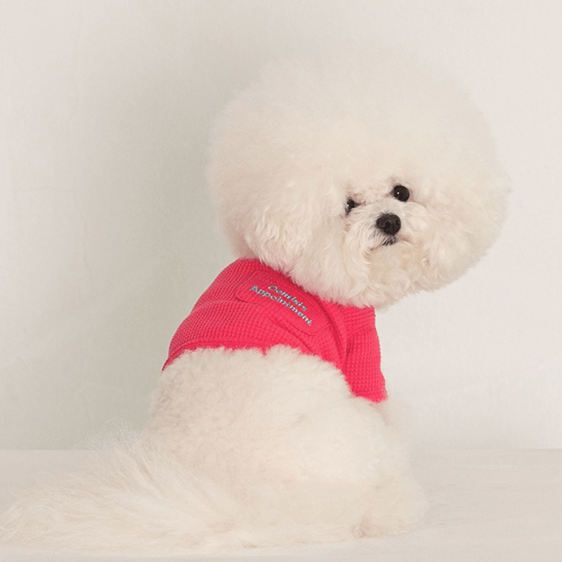 Waffle Crop Tee - Magenta Pink Clothing Dentists Appointment