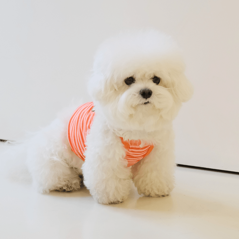 Cool Slush Crop Tank Top - Orange Cream (Orange) Clothing Hey Jerry