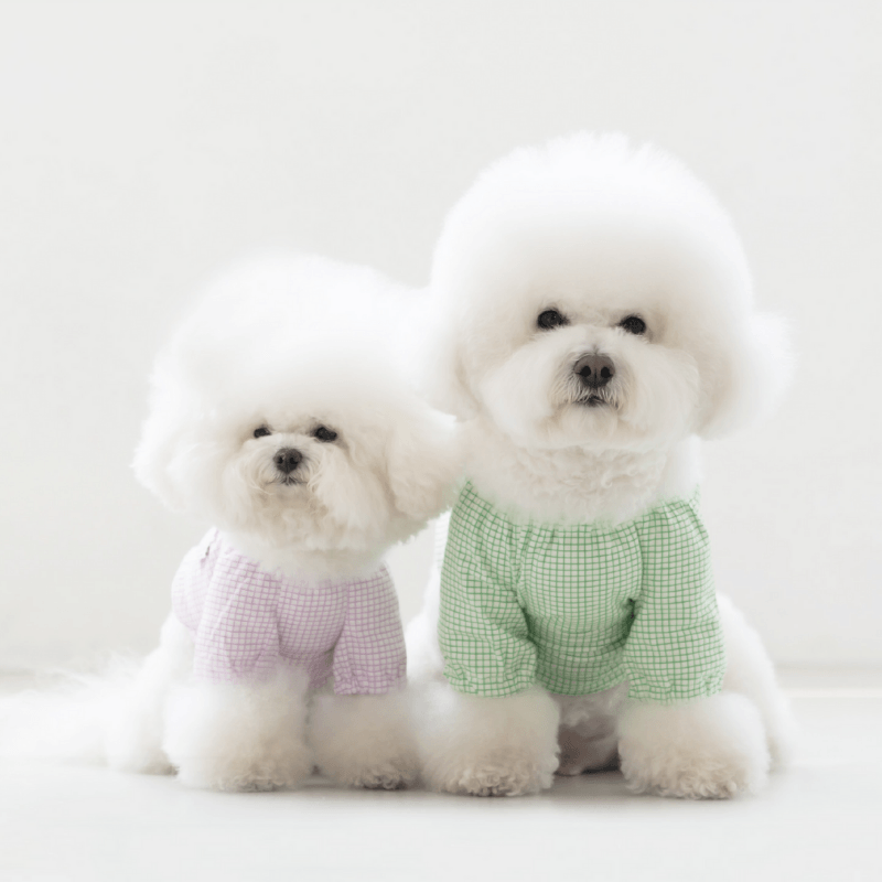 Pumpkin Crop Top - Green Clothing Dentists Appointment