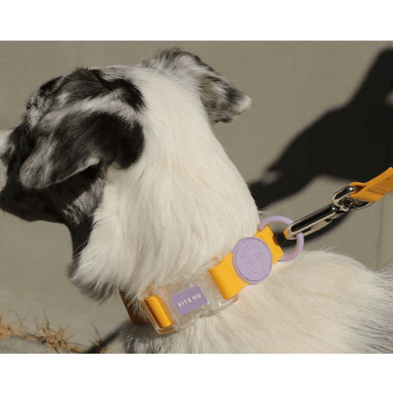 Macaron Waterproof Collar and Leash Set (4 Colors) Collar Bite Me