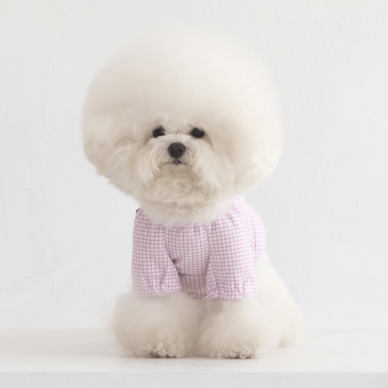 Pumpkin Crop Top - Purple Clothing Dentists Appointment 