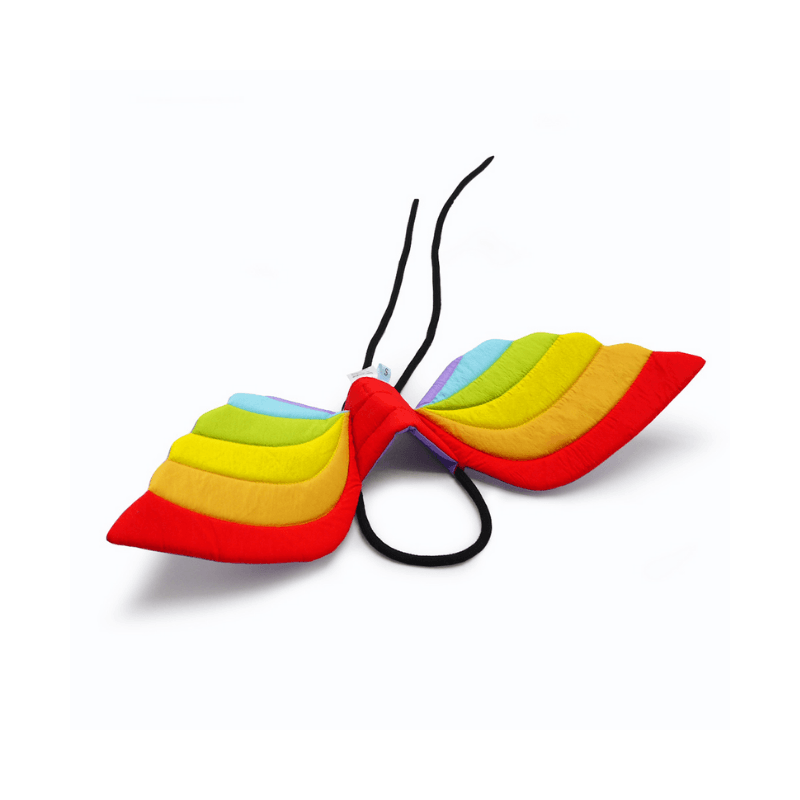 Rainbow Wings Dog Costume