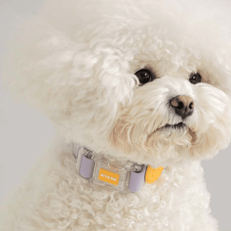 Macaron Waterproof Collar and Leash Set (4 Colors) Collar Bite Me