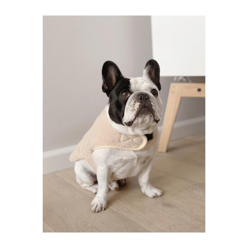 Teddy Wrap Vest - Light Beige Clothing Fuzzyard