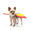 Rainbow Wings Dog Costume Accessories Dogo