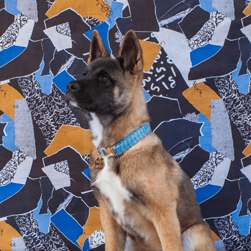 Jumbo Cord Collar - Sky Collar Nice Digs