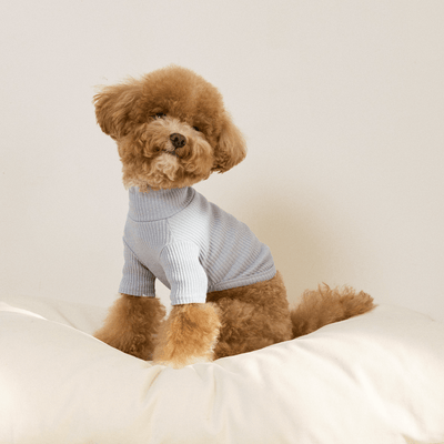 Ribbed Turtleneck Shirt - Blue Clothing Small Stuff