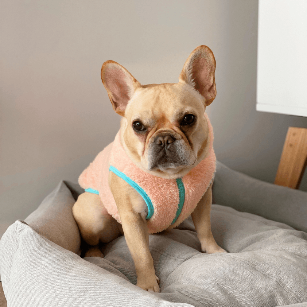 Neon Boa Fleece Vest - Peach Clothing ITS DOG