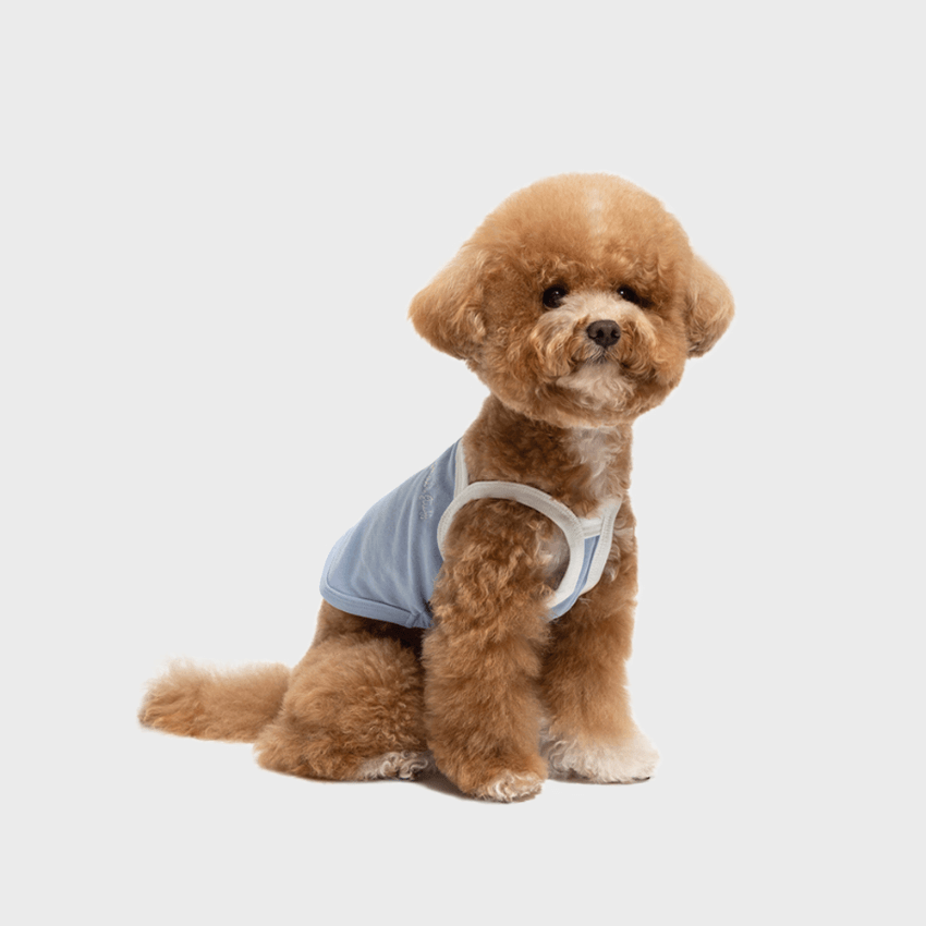 Airy Sleeveless Top - Pale Blue Clothing Small Stuff