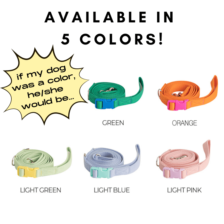 Candy Crayon Leash - Orange Leash Bite Me