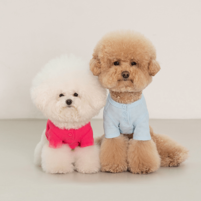 Waffle Crop Tee - Sky Blue Clothing Dentists Appointment