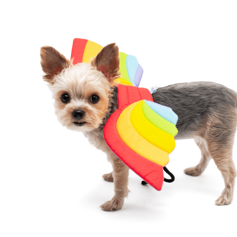 Rainbow Wings Dog Costume Accessories Dogo