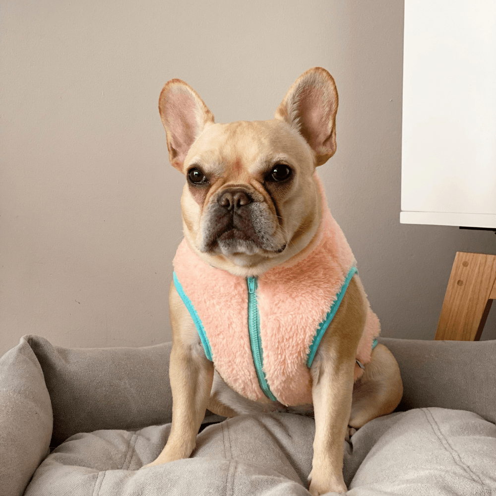 Neon Boa Fleece Vest - Peach Clothing ITS DOG