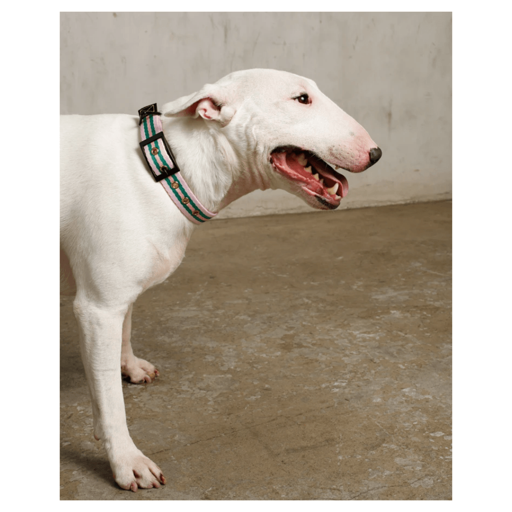 Le Classic Collar - Rue La Rose Collar Saint Rue