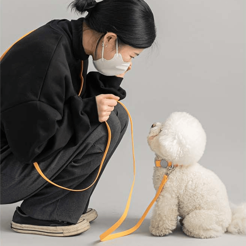 Macaron Waterproof Collar and Leash Set (4 Colors) Collar Bite Me