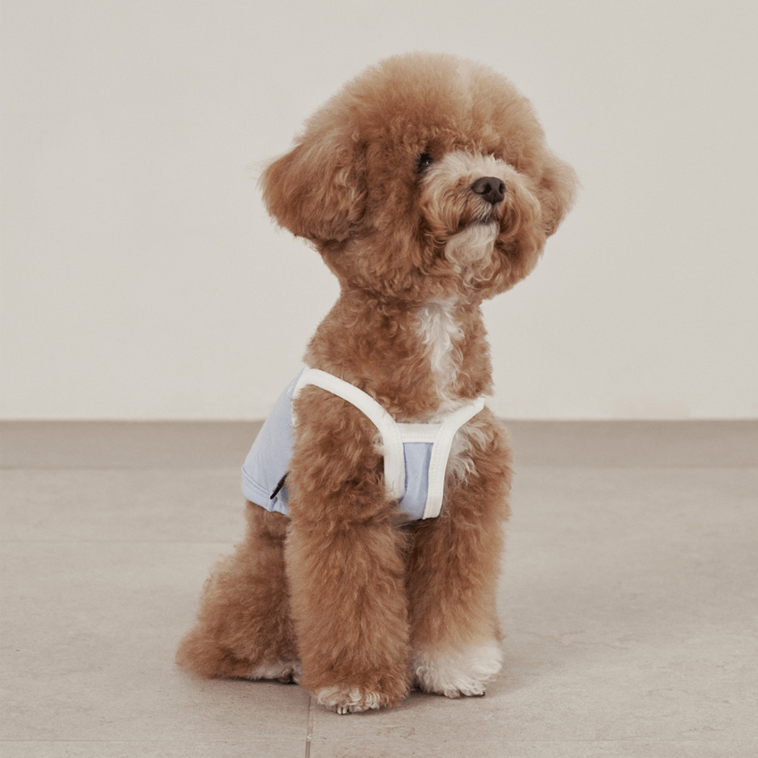 Airy Sleeveless Top - Pale Blue Clothing Small Stuff