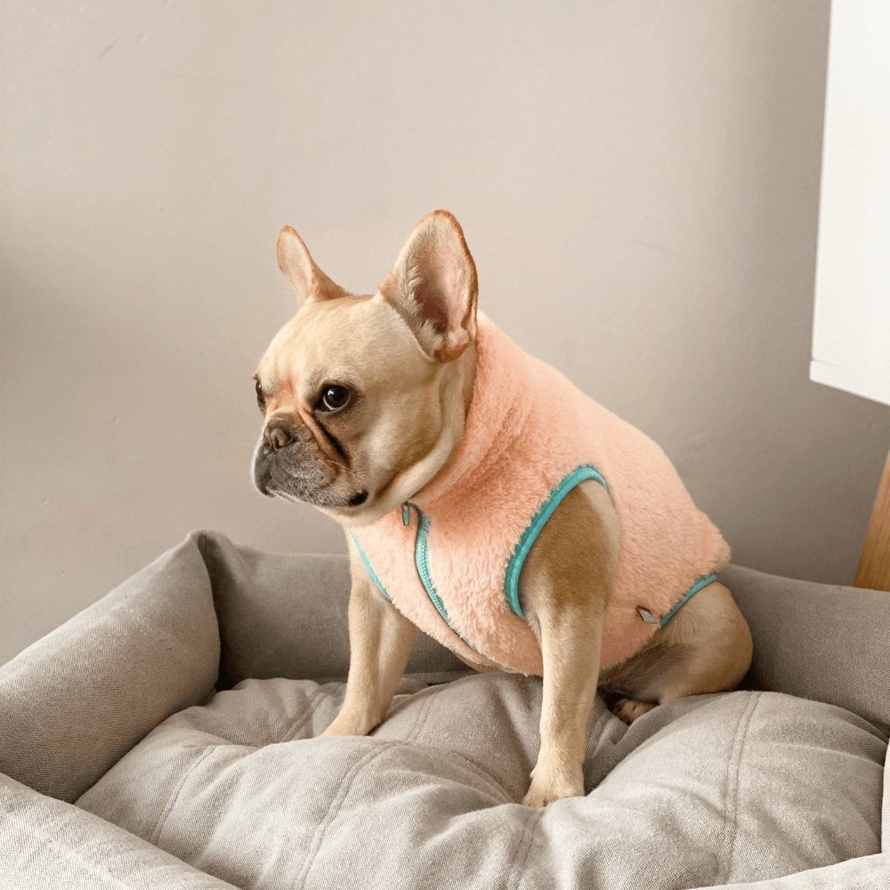 Neon Boa Fleece Vest - Peach Clothing ITS DOG