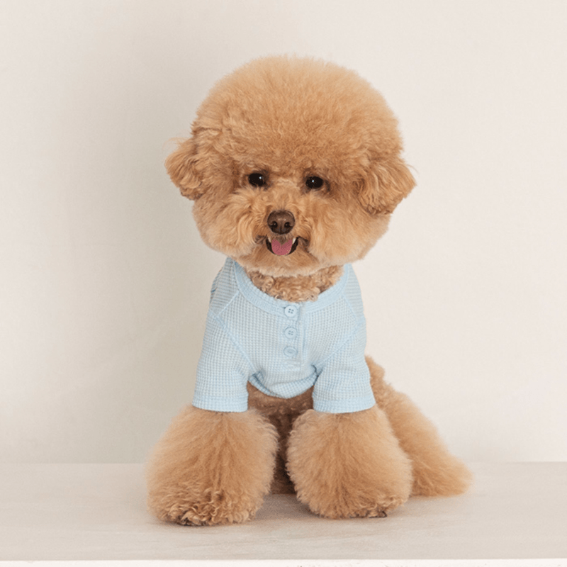 Waffle Crop Tee - Sky Blue Clothing Dentists Appointment