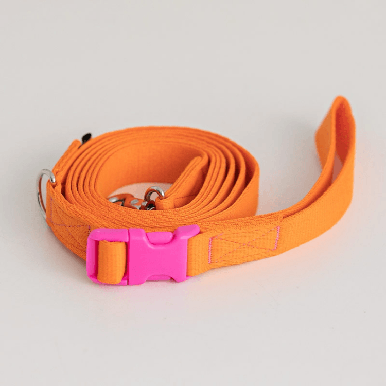 Candy Crayon Leash - Orange Leash Bite Me