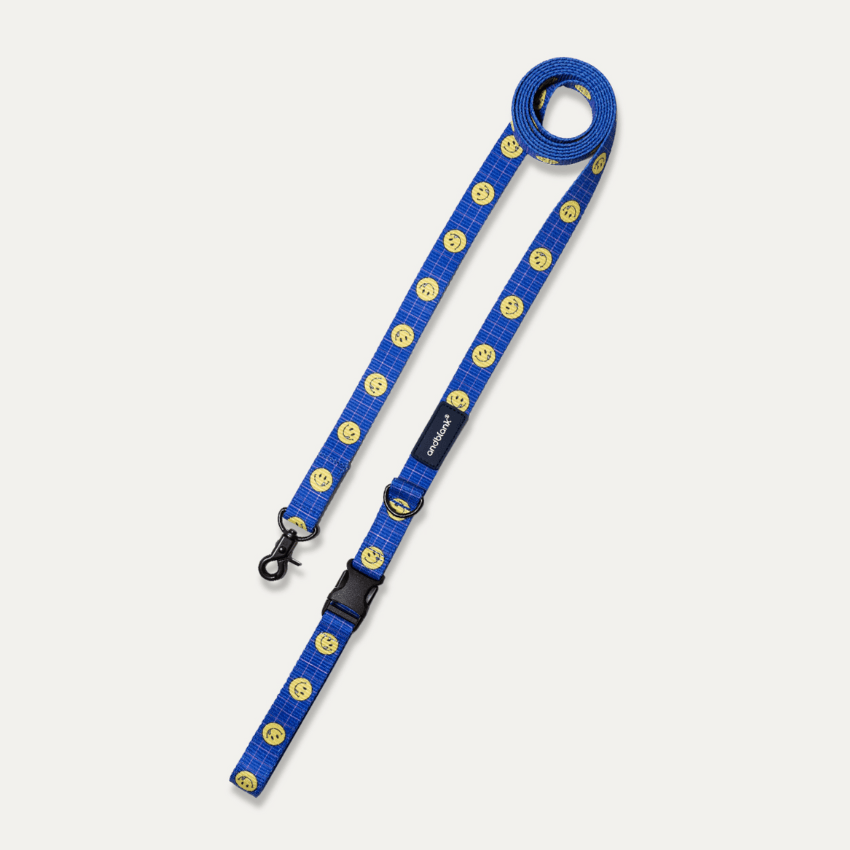 Smiley Face Dog Leash - Blue