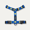 Smiley Face Dog Harness - Blue Harness Andblank 