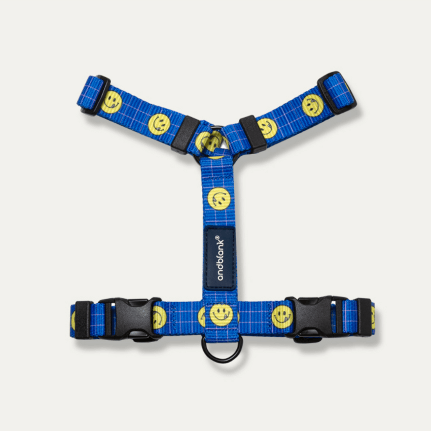 Smiley Face Dog Harness - Blue