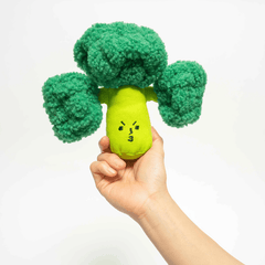 Broccoli Interactive Nose Work Dog Toy Spotted By Humphrey