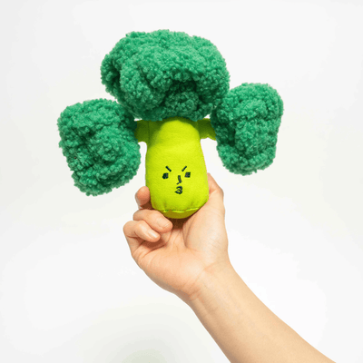 Broccoli Interactive Nose Work Dog Toy Toy The Furryfolks