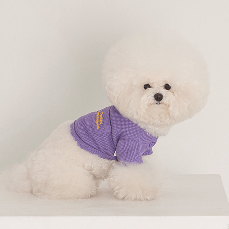 Waffle Crop Tee - Purple Clothing Dentists Appointment