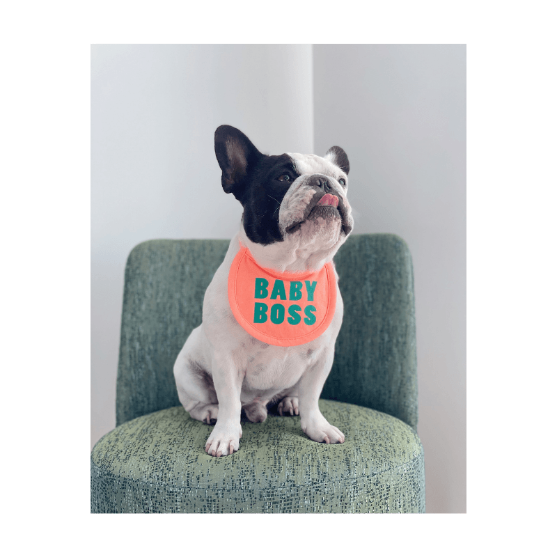 Baby Boss Bib Bandana Hey Jerry