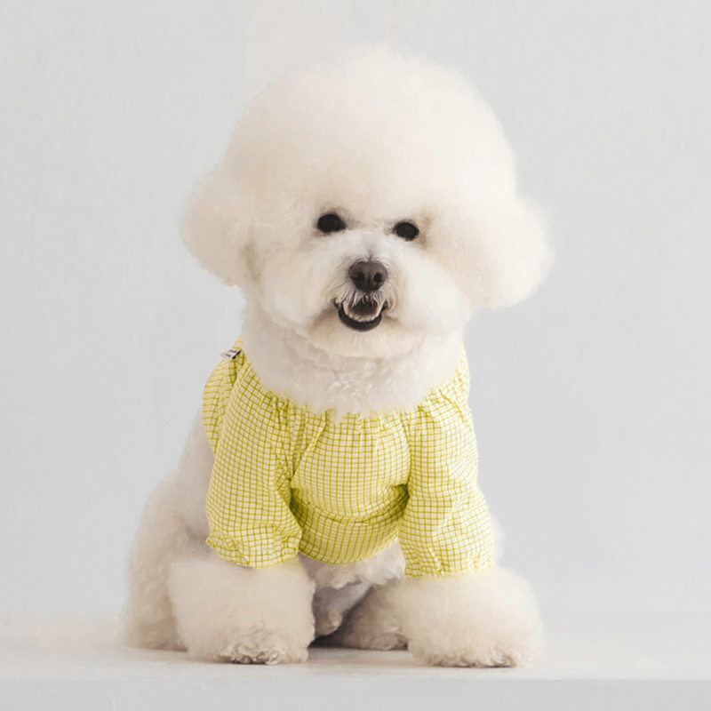 Pumpkin Crop Top - Yellow Clothing Dentists Appointment