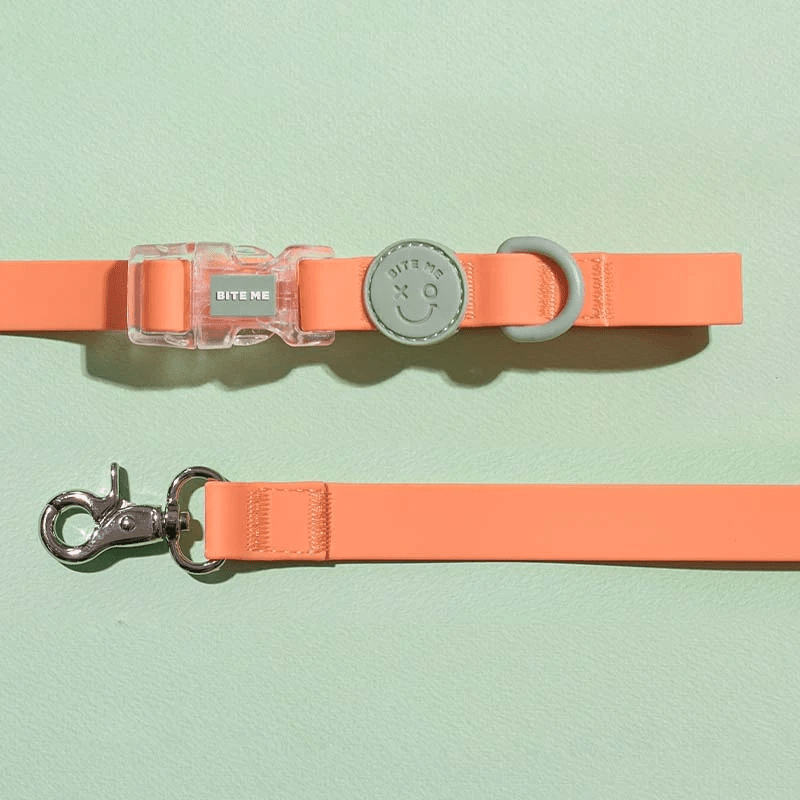 Macaron Waterproof Collar and Leash Set (4 Colors) Collar Bite Me Apricot (Orange) M