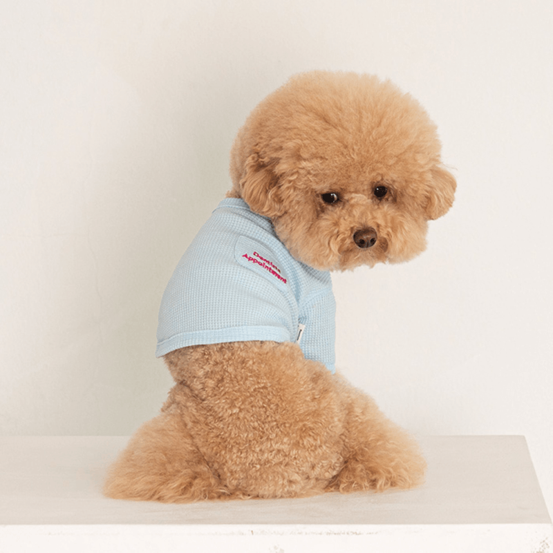 Waffle Crop Tee - Sky Blue Clothing Dentists Appointment