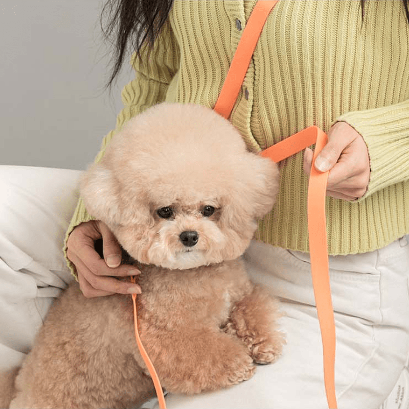 Macaron Waterproof Collar and Leash Set (4 Colors) Collar Bite Me