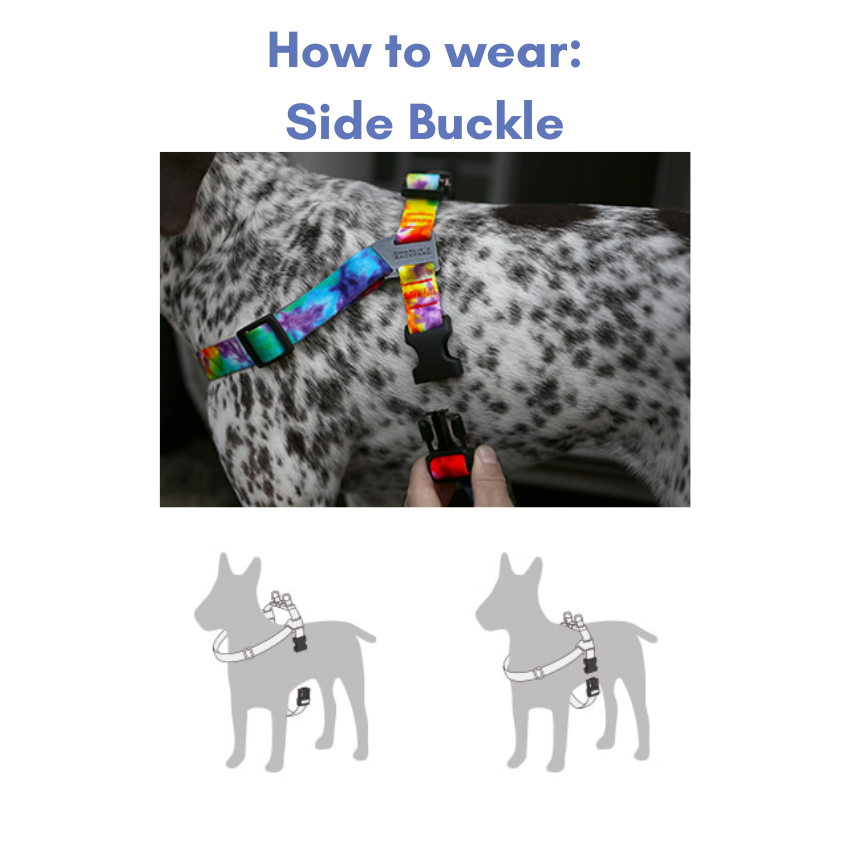 Rover Harness Harness Charlie's Backyard