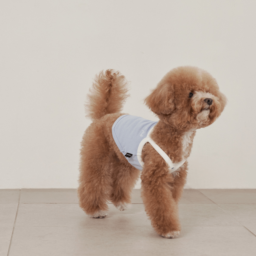 Airy Sleeveless Top - Pale Blue Clothing Small Stuff