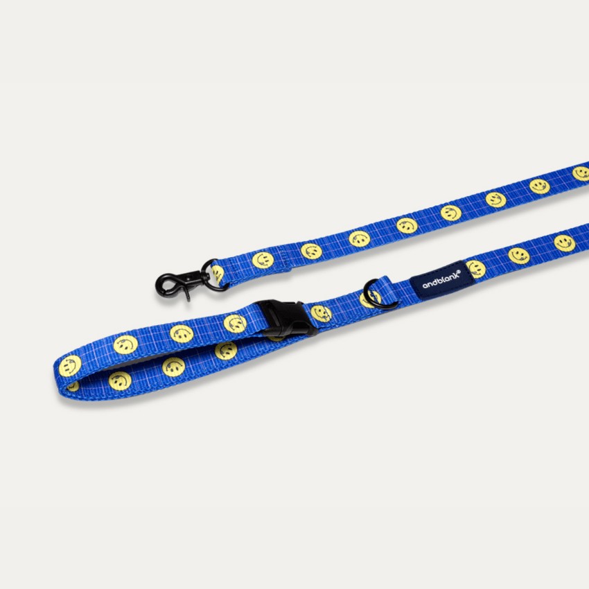 Smiley Face Dog Leash - Blue Leash Andblank