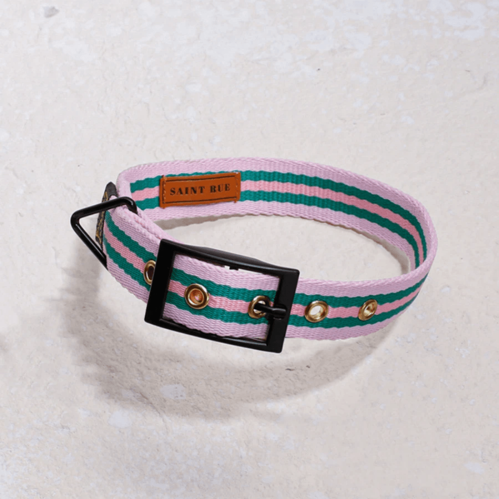 Le Classic Dog Collar